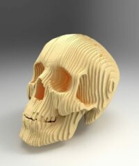 3D Wooden Skull