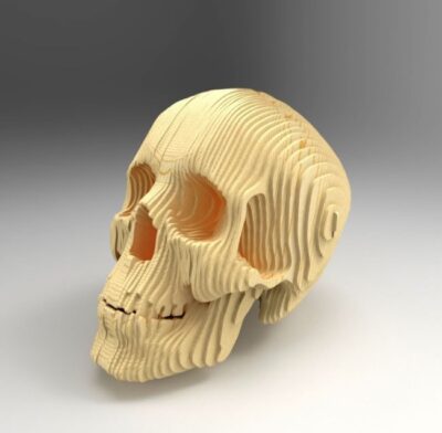 3D Wooden Skull