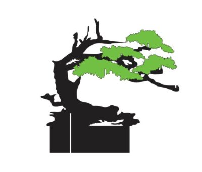 Bonsai Tree A