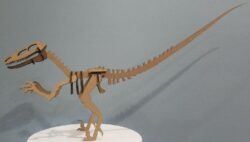 Raptor Dinosaur Velociraptor