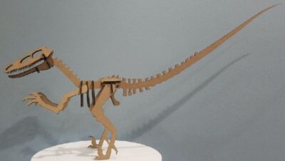 Raptor Dinosaur Velociraptor