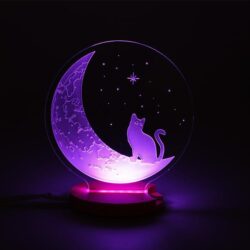 The Cat And The Moon 3D Illusion Night Light