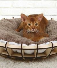 Wooden Cat Bed Cat Furniture Pet Furniture