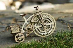 Wooden Mechanical Bike