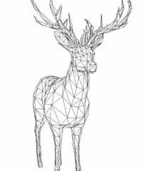 3D illusion led lamp Deer