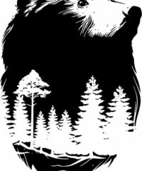 Bear with pine forest
