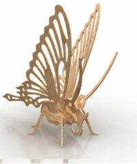 Butterfly Wood Insect 3d