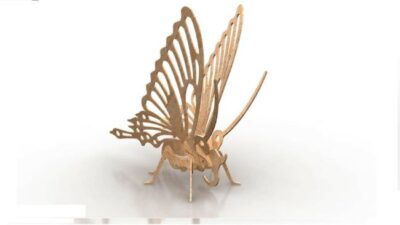 Butterfly Wood Insect 3d