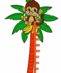 Coconut tree height ruler