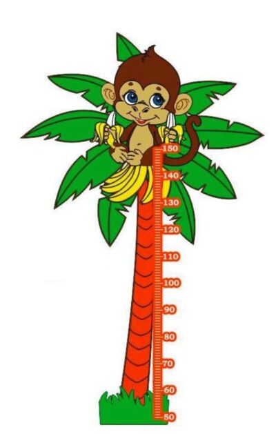 Coconut tree height ruler