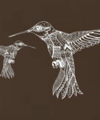 Hummingbird art