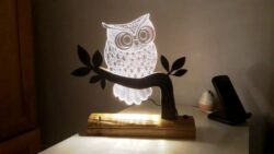Owl 3D LED Night Light