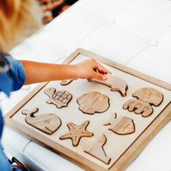 Sea Animals Wooden Sorting Puzzle