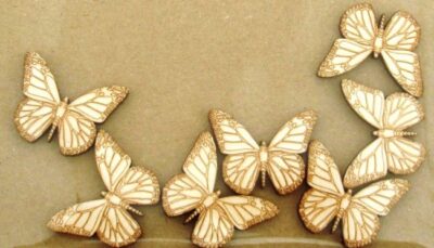 Wooden Butterfly Shapes