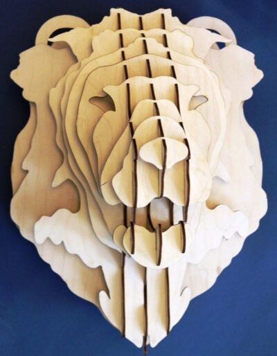 Female lion's head