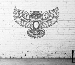 Murals of owls