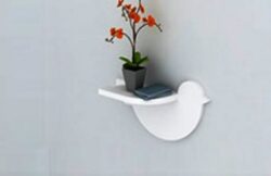 Bird shelf