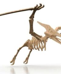 Pterosaurios Dinosaurs