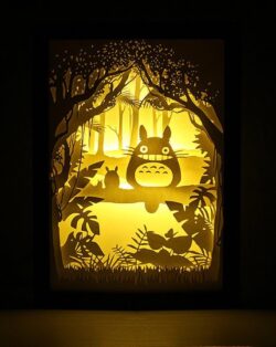 Totoro light paintings