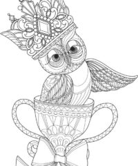 Owl and cup