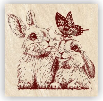 Rabbits and butterflies