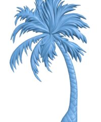 Palm coconut tree