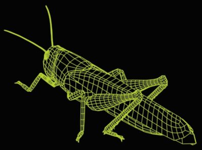 3D illusion led lamp Grasshopper