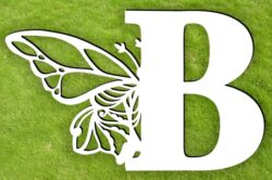 Letter B with butterfly