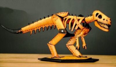 Tyrannosaurus dinosaur