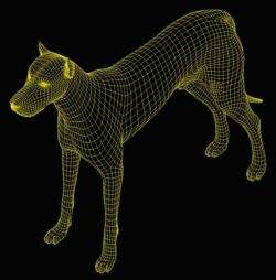 3D illusion led lamp Dog