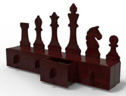 Chess organizer
