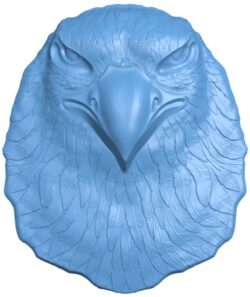 Eagle bird head