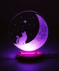 Illusion led lamp cat on the moon