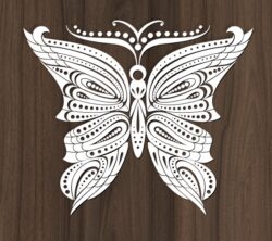 Butterfly for Design