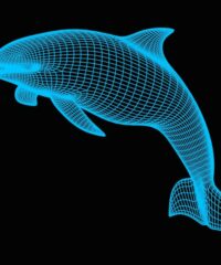 3D illusion led lamp Dolphin