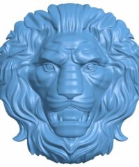 Lion head pattern (9)
