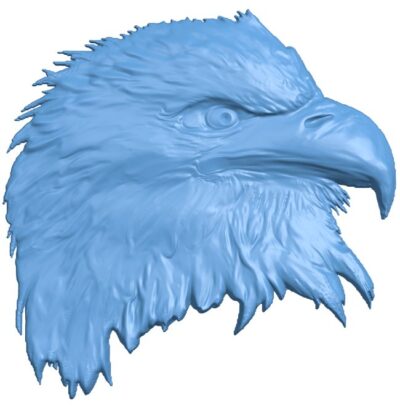 Eagle head (2)