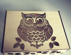 Owl Gift Box