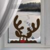 Deer on the window