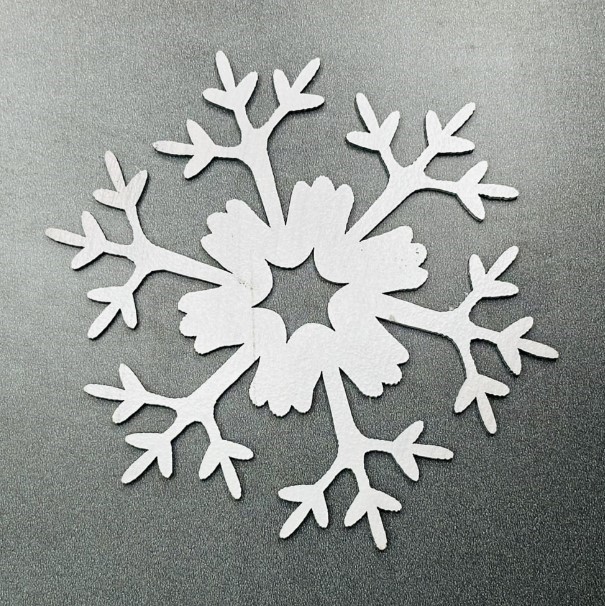 Christmas Floral Snowflake