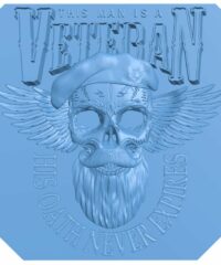 Skull veteran logo
