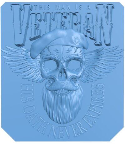 Skull veteran logo