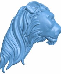 Lion head pattern