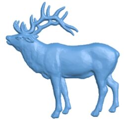 Deer (2)