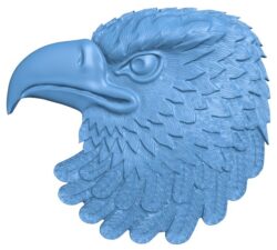 Eagle head