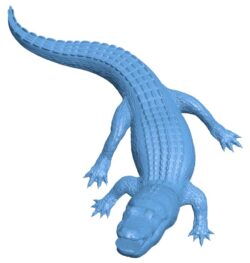 Gator – Crocodile