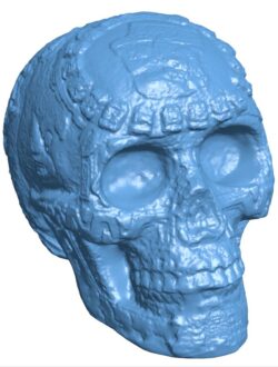 Mayan skull