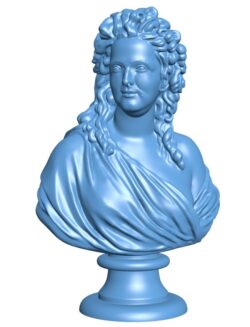 Met bust of madame de wailly – man