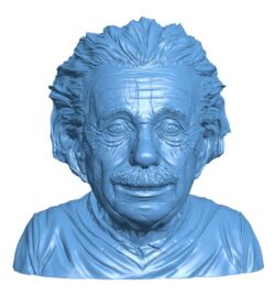 Mr Albert Einstein bust