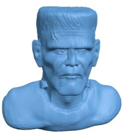 Mr Frankenstein head
